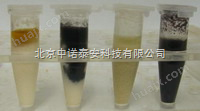 豆浆生熟度检测试剂盒