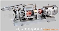 CQG重型高温磁力泵