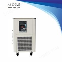 DLSB-5L/-20 低温冷却液循环泵