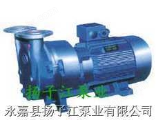 扬子江SKA系列水环式真空泵