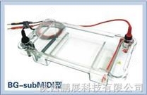 BG-subMIDI多用途水平电泳仪 