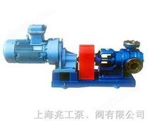 上海兆工水泵 转子泵/工程塑料泵
