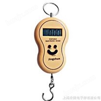 手提电子吊秤,上海电子吊秤,吊秤,电子吊钩秤